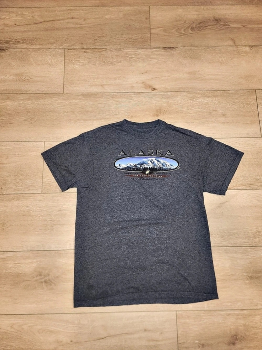 Vintage Y2K Alaska The last Frontier Gray Graphic T-Shirt Men's Size Medium Good